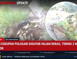 Jalan Ciseupan Pulosari Diguyur Hujan Deras, Tebing 2 Meter Longsor