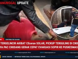 Diduga tergelincir Akibat CEceran SOLAR, PICKUP Terguling Di Cikidang! GRIB JAYA PAC Cikidang Gerak Cepat Evakuasi Sopir Ke PUSKESMAS
