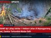 MENCEKAM! Api Lahap Sekitar 1 Hektare Lahan Di Bojonggenteng Sukabumi, Damkar Terkendala Medan Sulit WhatsApp Image 2026-10-20 at 15.41.05