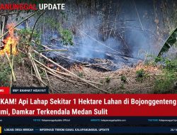 MENCEKAM! Api Lahap Sekitar 1 Hektare Lahan Di Bojonggenteng Sukabumi, Damkar Terkendala Medan Sulit