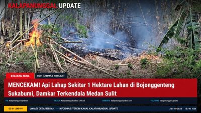 MENCEKAM! Api Lahap Sekitar 1 Hektare Lahan Di Bojonggenteng Sukabumi, Damkar Terkendala Medan Sulit