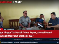 Meninggal Hingga Tak Pernah Tebus Pupuk, Alokasi Petani Kalapanunggal Menyusut Drastis Di 2027