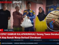 GERAK CEPAT DAMKAR KALAPANUNGGAL! Sarang Tawon Berukuran Besar Di Atap Rumah Warga Berhasil Dievakuasi